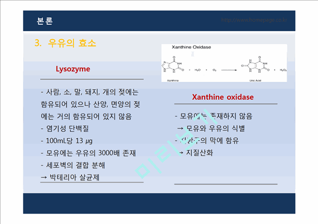 유가공제품에서의 효소의 이용   (10 )